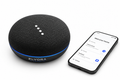 Elvora Voice Smart Speaker